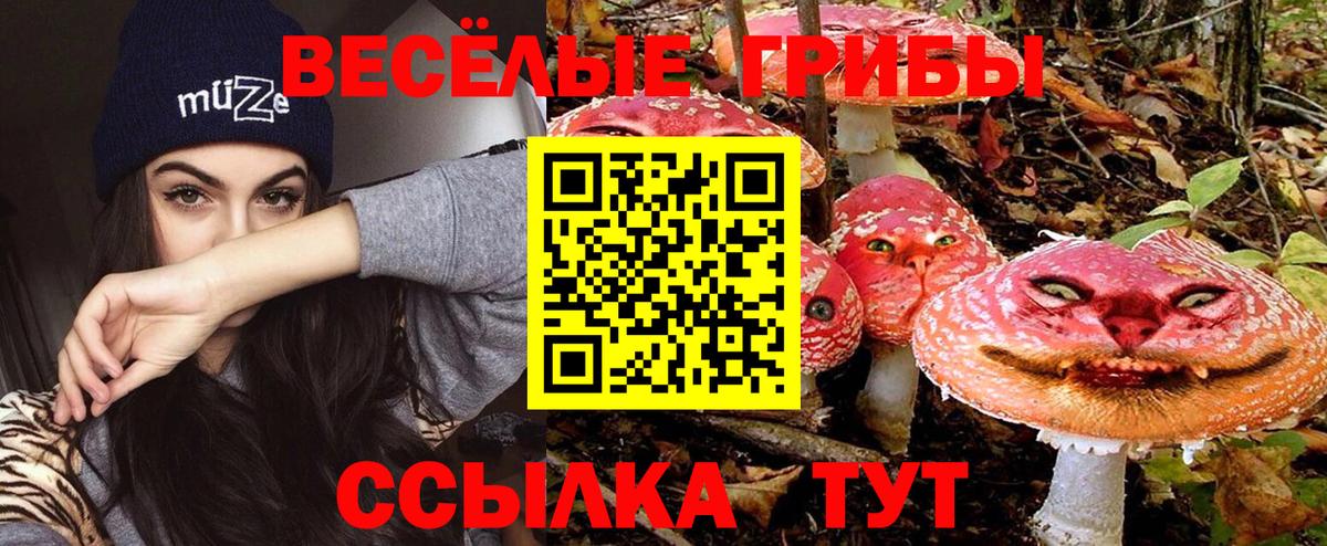Сосновоборск  Псилоцибиновые грибы мицелий  Вход с VPN 